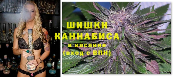 трава Горнозаводск