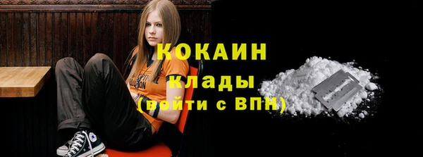 твердый Горняк