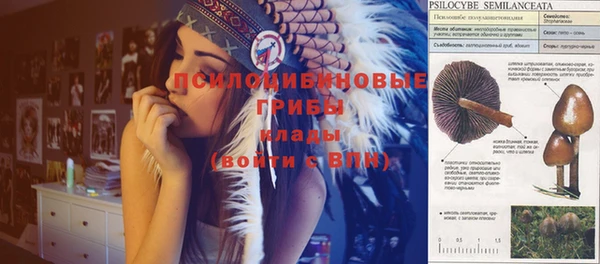 трава Горнозаводск