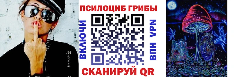 Купить где  Поронайск  Галлюциногенные грибы Psilocybe 